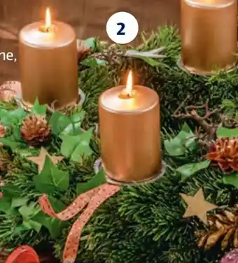Hofer Adventkranz Exklusiv Angebot