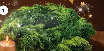 Hofer Adventkranz Undekoriert Angebot