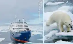 Hofer Hofer-Reisen Nordkap-Spitzbergen Angebot