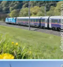 Hofer Hofer-Reisen Amsterdam-Niederlande Angebot