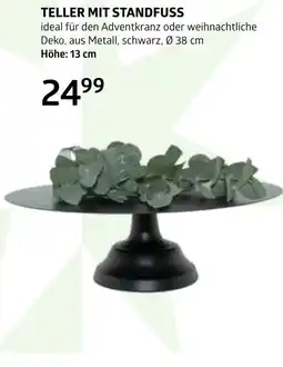 Bellaflora Teller mit standfuss Angebot