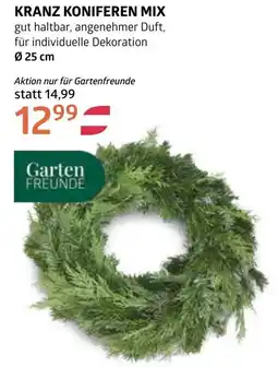 Bellaflora Kranz koniferen mix Angebot