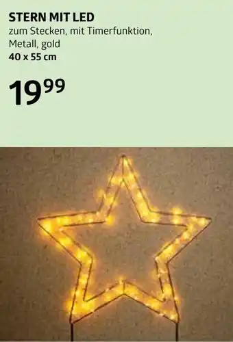 Bellaflora Stern mit led Angebot
