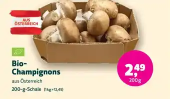 Bio- Champignons