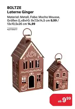 BayWa Boltze laterne ginger Angebot