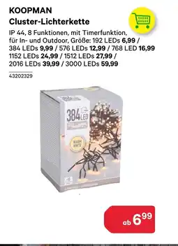 BayWa Koopman cluster-lichterkette Angebot