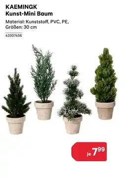 BayWa Kaemingk Angebot