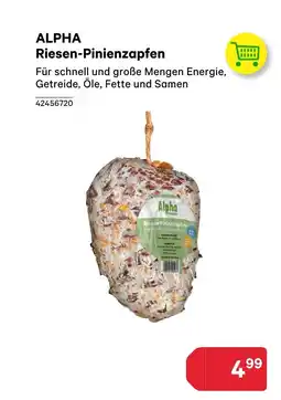BayWa Alpha riesen-pinienzapfen Angebot