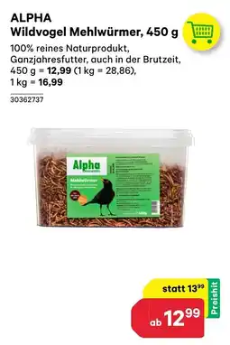 BayWa Alpha wildvogel mehlwürmer Angebot