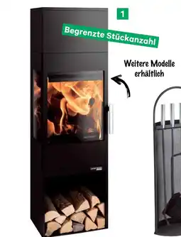 BayWa HAAS+SOHN Kaminofen Salzburg Easy Angebot