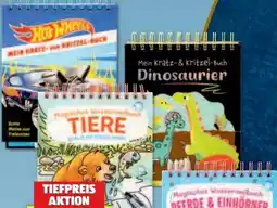 Hofer Wassermalbuch Angebot