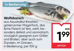 Maximarkt WOLFSBARSCH Angebot