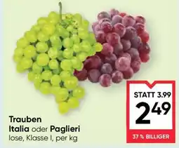 Maximarkt Trauben Italia oder Paglieri Angebot