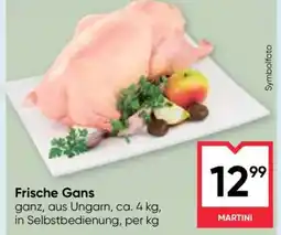 Maximarkt Frische Gans Angebot