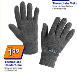 Action Thermolate Handschuhe Angebot