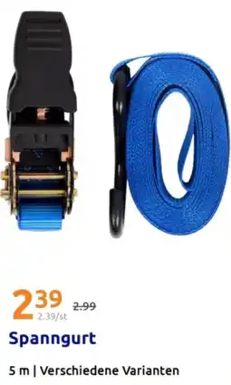 Action Spanngurt Angebot