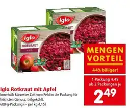 Interspar Iglo Rotkraut mit Apfel Angebot