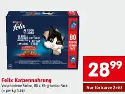 Interspar Felix Katzennahrung Angebot