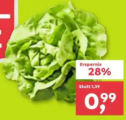 ADEG Häuptelsalat Angebot