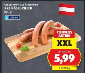 Hofer XXL KÄSEGRILLER Angebot