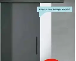 Hellweg Glasschiebetür-Set BlackDark Angebot