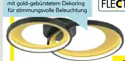 Hellweg Flector LED-Deckenleuchte Rengas Angebot