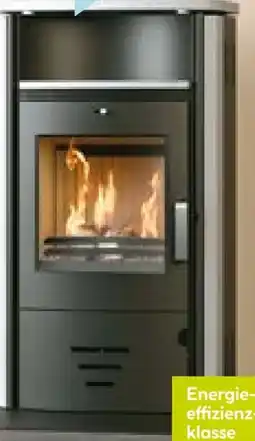 Hellweg Kaminofen Stockholm 4.0 Angebot