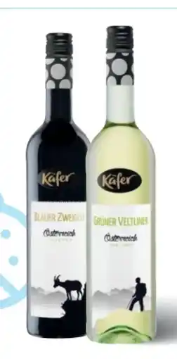 T&G Käfer Weine Angebot
