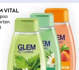 Bipa Schwarzkopf Glem Vital Shampoo Angebot