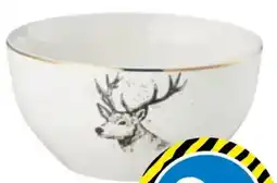 TEDi Müslischalen Angebot