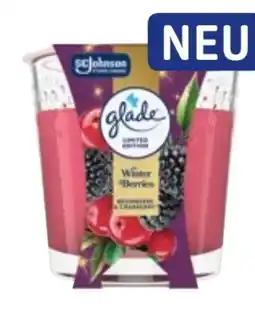 dm Glade by Brise Duftkerze Winter Berries Angebot