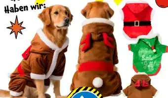 TEDi Hundekostüm Angebot