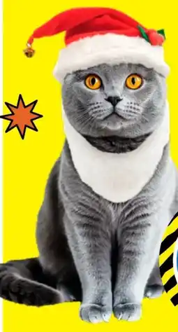 TEDi Katzenkostüm Angebot