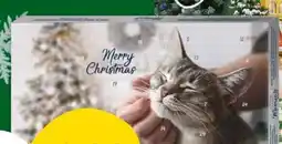 Fressnapf Moments Katzen Adventkalender Angebot