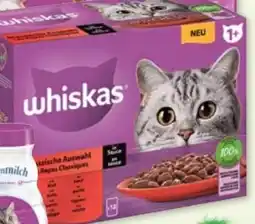 Fressnapf Whiskas Katzennahrung Angebot