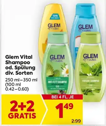 Glem Vital Shampoo od. Spülung