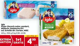 Billa Iglo polar-dorsch natur, paniert, müllerin, serbische art od. scholle Angebot