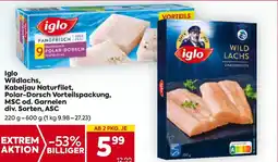 Billa Iglo wildlachs, kabeljau naturfilet, polar-dorsch vorteilspackung, msc od. garnelen Angebot