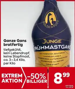 Billa Ganze gans bratfertig Angebot