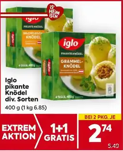 Billa Iglo pikante Knödel Angebot