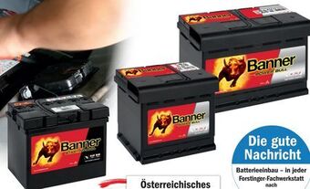 Batterie Power Bull P42 08