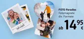dm FOTO Paradies Angebot