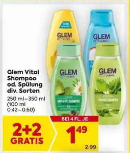 Billa Glem Vital Shampoo od. Spülung div. Sorten Angebot