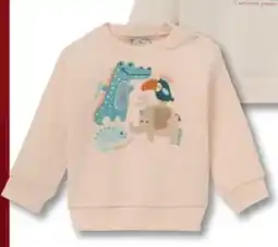 Woolworth Baby-Sweatshirts Angebot