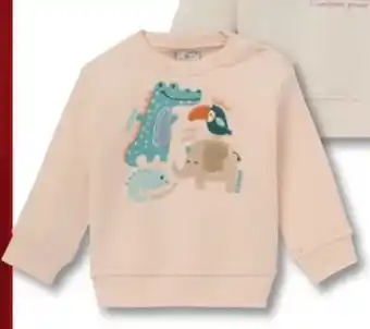 Woolworth Baby-Sweatshirts Angebot