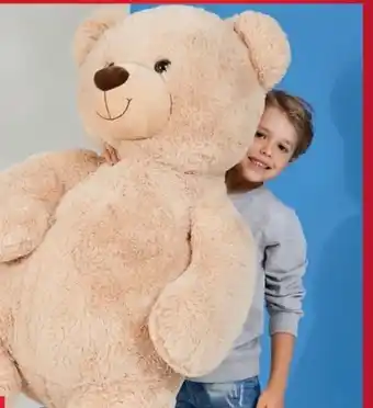 Woolworth XXL-Teddybär Tom Angebot