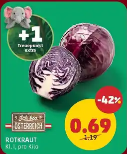 PENNY Rotkraut Angebot