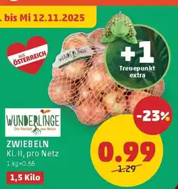 PENNY Zwiebeln Angebot