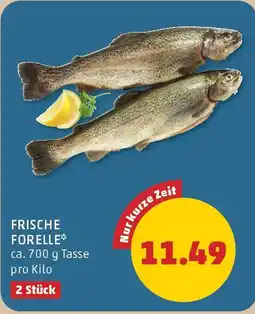 PENNY Frische forelle Angebot