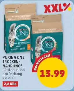 PENNY Purina one trocken nahrung Angebot